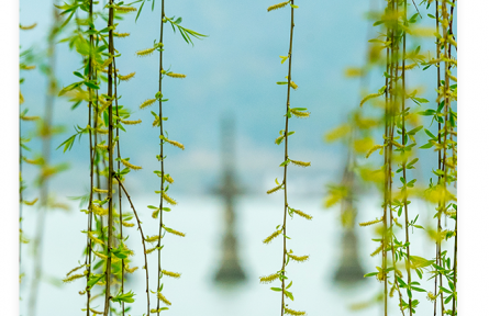 名言 | 荀子：善学者尽其理，善行者究其难