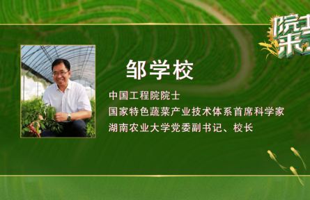 “辣椒院士”邹学校：让辣椒树成为农民的“摇钱树”