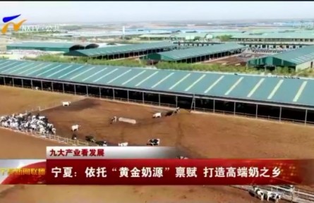 宁夏：依托“黄金奶源”禀赋 打造高端奶之乡