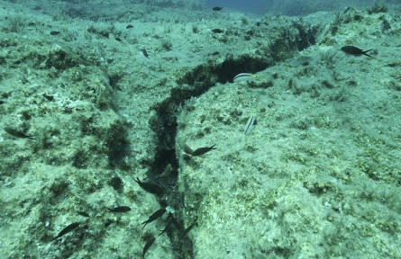 科技名词 | 海底地震仪  marine seismograph