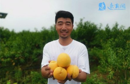 “新农人”卓成涛：田野里筑梦新农村