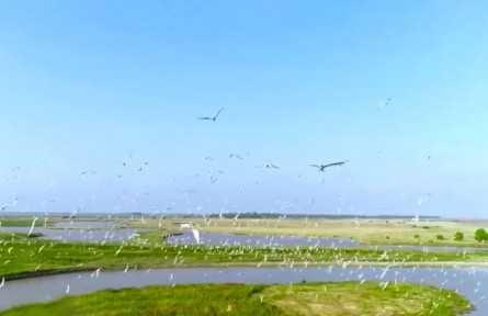 最高法：用最严格制度最严密法治保护生态环境