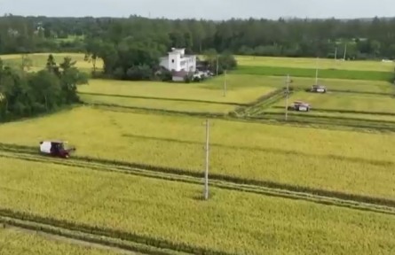 【在希望的田野上】全国秋粮收获近两成
