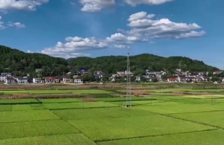 湖南张家界：航拍希望的田野