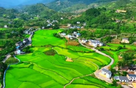 重庆：农旅融合助力乡村振兴 带动传统产业转型升级