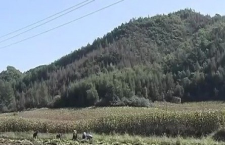 辽宁本溪锦州：加快种植业结构调整 拓展农民致富新渠道