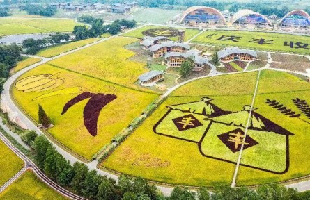 喜看丰景溢芳香——第五个中国农民丰收节各地扫描