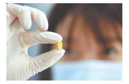 种业振兴行动扎实推进