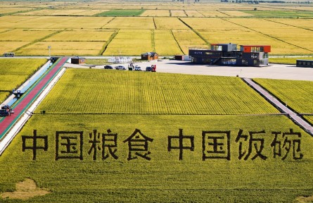 保护性耕作面积 conservational tillage area