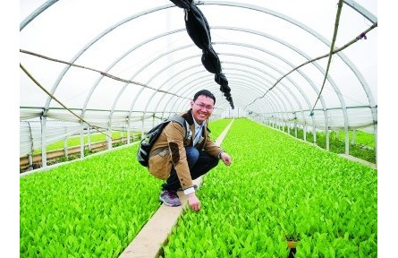果蔬育种师：陪果蔬一起成长的青春，甜甜的