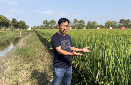 2022年度“全国十佳农民”赵常洪：虾稻共作闯出新天地
