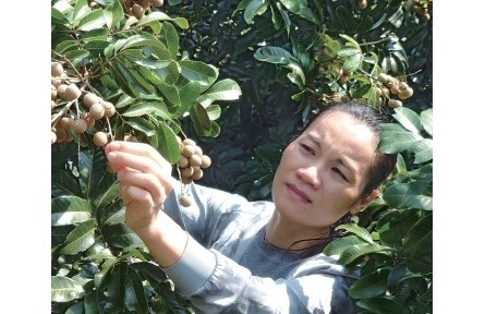 2022年度“全国十佳农民”许方瑜：用心巧种果菜 用情乐助乡邻