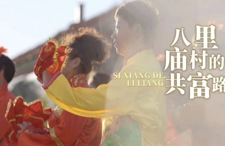 《思想的力量》第五集：八里庙村的共富路