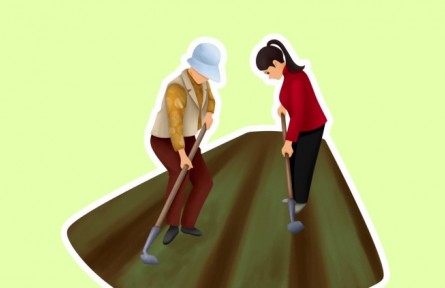 三农词条：农业社会化服务体系