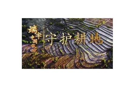《端牢中国饭碗》系列报道