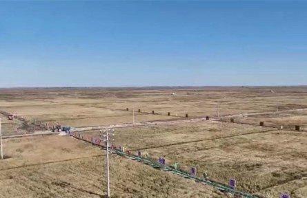 吉林大安：改造盐碱地种水稻 接近良田产量