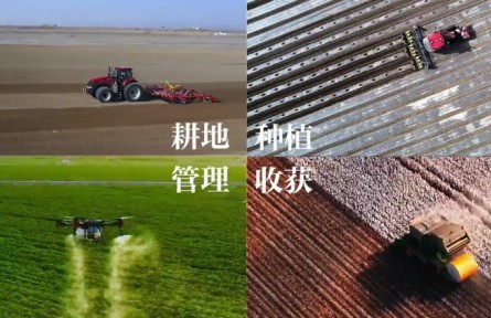 这十年：玩转“种田游戏”的新青年