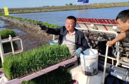 黑龙江延寿：赶上好时代，更要种好咱的黑土地！