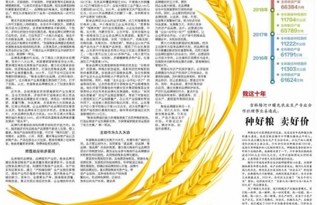 加速品牌化建设，推动粮食产业高质量发展