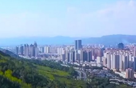 【二十大代表风采】张锦梅：扎根高原三十载 只为满城花香来 马玉山：以使命担当引领行业尖端