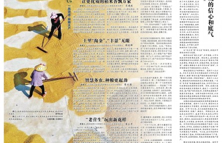 读懂端牢中国饭碗的信心和底气