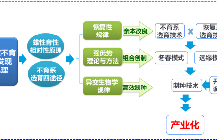 北京市农科院试验基地杂交小麦开始全面秋播