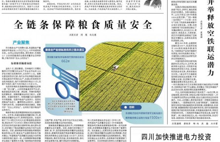 全链条保障粮食质量安全