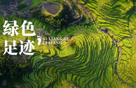 《思想的力量》第十七集：绿色足迹