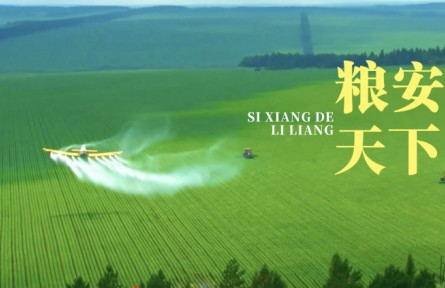 《思想的力量》第十九集：粮安天下