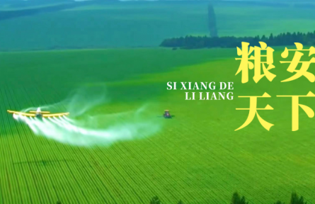 思想的力量 | 粮安天下