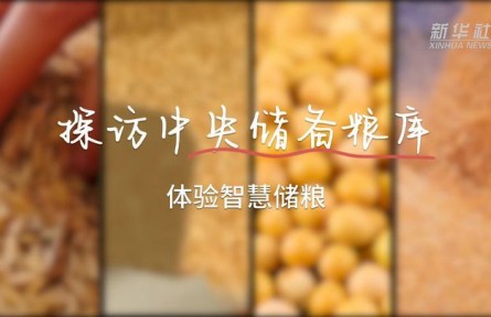 探访中央储备粮库 体验智慧储粮