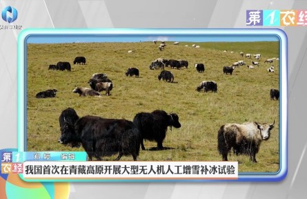 我国首次在青藏高原开展大型无人机人工增雪补冰试验