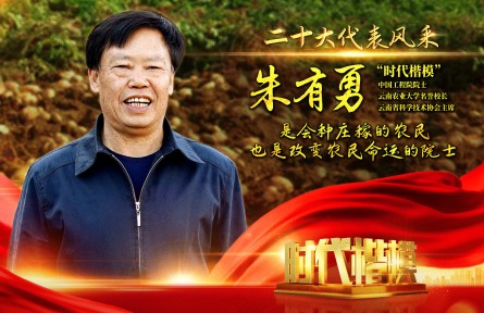 二十大代表朱有勇：是会种庄稼的农民 也是改变农民命运的院士