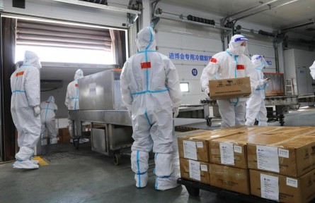 第五届进博会首批进口冷链食品展品抵达总仓