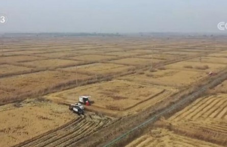 各地持续推广绿色高效农业模式 带动农户增产增收