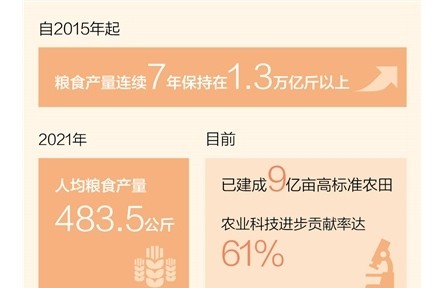 党的二十大基层代表畅谈——坚持农业农村优先发展