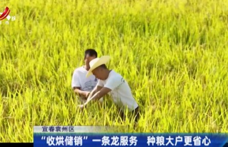 江西宜春：“收烘储销”一条龙服务 种粮大户更省心