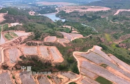 “塞上江南”万象新——宁夏以党建引领加快推进乡村全面振兴纪实
