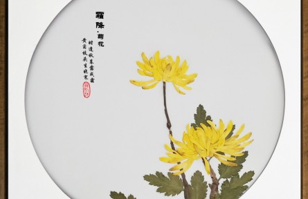 二十四节气押花艺术鉴赏：《霜降·菊花》
