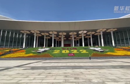 第五届进博会首批展品入场