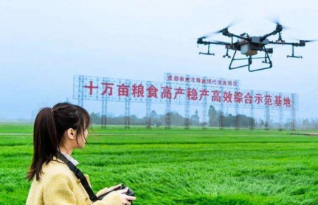 农业品牌重磅文件接连发布 释放哪些信号？