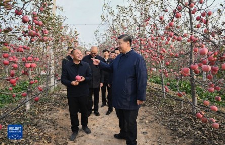习近平在陕西延安和河南安阳考察时强调 全面推进乡村振兴 为实现农业农村现代化而不懈奋斗