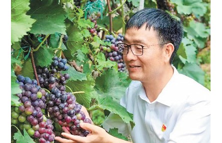 裴春亮：带村民过上好日子，活出精气神
