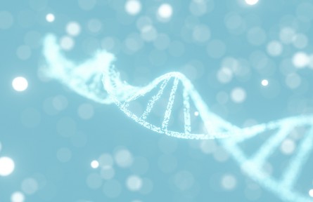 科技名词 | 长寿基因 longevity genes