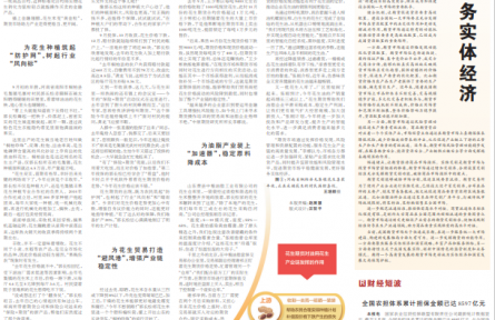 一颗花生的增收“密码”：“保险+期货”护航农产品全产业链