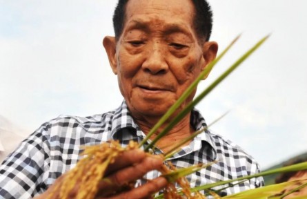 袁隆平：让中国杂交水稻造福世界人民