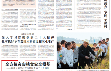 全球粮食减产背景下，中国为何能取得秋粮丰收？