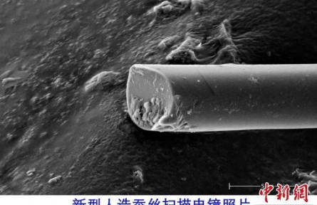 超强人造蚕丝在天津大学诞生