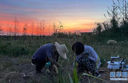沉湖湿地年碳汇量达12.55万吨 市场价值约600万元