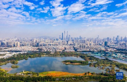 广东广州：海珠湿地